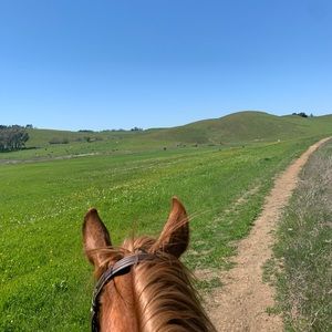 Meet your Posher, Meghan